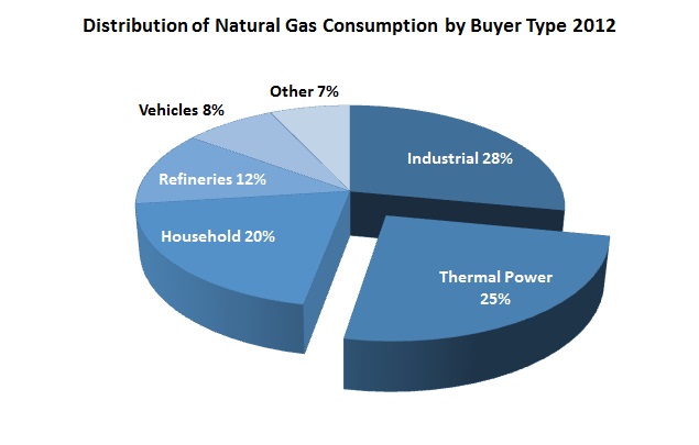 Naturgas pushes for greater flexibility, investment to make gas more competitive