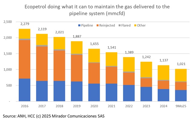 ECP directs gas from own use to domestic supply